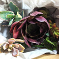 Blissful's Live Succulents Cuttings Assorted Collection no Repeat Unique and Rare, Easy to Grow, Drought Tolerant, Packs 5,10,15 or 20 (5)