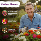 KVITER 550 Cut and Come Again Zinnia Seeds for 2026 (Zinnia elegans) — Pumila Double Blooms Zinnia Mix, Heirloom & Non GMO — Ideal Cut Flower Seeds for Planting in Garden, Containers, Cutting Beds