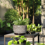 SQOWL Ceramic Plant Pots - 10 Inch Planter for Indoor Plants Outdoor, Large Flower Pots with Drainage Hole and Saucer, Decorative Round Planter, Apartment Decor, Garden Gifts for Women, White