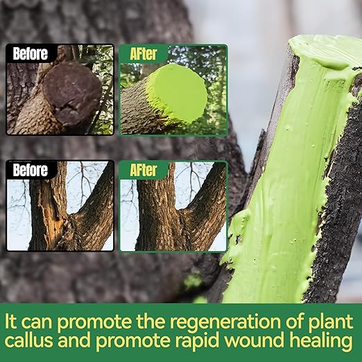 Tree Wound Sealer, 300g Pruning Sealer, Grafting Wax with Brush Tree Trunk Paint Protection Rapidly Form Protective Film for Damaged Trees Bark Repair Pruning Seal Fruit Tree Maintenance, Green