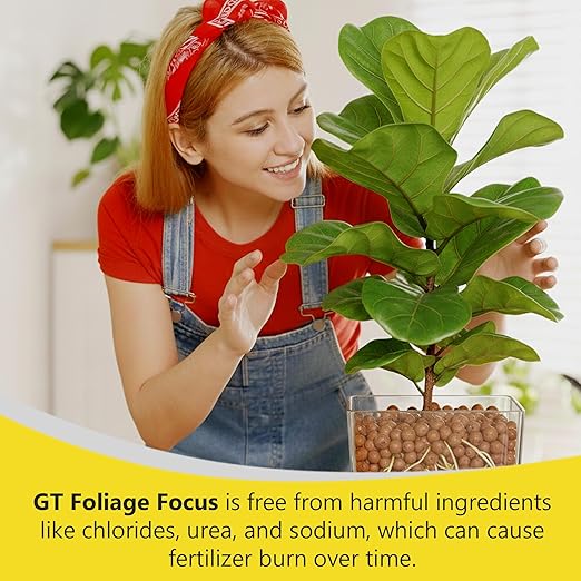 Growth Technology GT Foliage Focus - Liquid Indoor Plant Food for Houseplants, Tropical Plants, Aroids, Ferns and Palms - Concentrated Formula for Vibrant Leaves and Dense Foliage - 8.5 fl oz (250 mL)