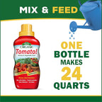 Espoma Organic 8 Ounce Concentrated Tomato! Plant Food - Plant Fertilizer for All Types of Tomatoes and Other Vegetables. for Organic Gardening. Pack of 1.
