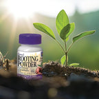 Bonide Bontone II Rooting Powder, 1.25 oz Ready-to-Use Dust for Houseplants and Transplants Speeds Root Development (Pack of 2)