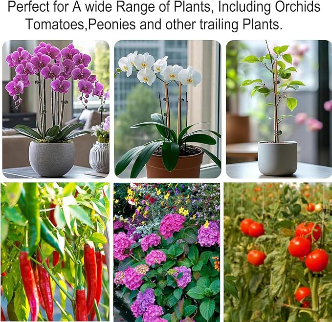 Plant Clips, Orchid Clips Plant Orchid Support Clips Flower and Vine Clips for Supporting Stems Vines Grow Upright Green 50PCS