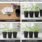 Zombie Plant Greenhouse Grow Kit – Touch It and Watch It Play Dead – Fun Indoor Plant that Revives in Minutes – Unique Gift for Dad, Men and Grandparents