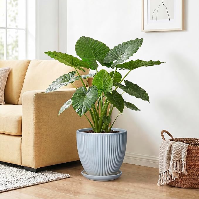 10 Inch Pots for Plants, Ceramic Plant Pots with Drainage Hole and Saucer, Modern Flower Pots for Indoor Plants, Decorative Large Planter, Entryway Decor, Gardening Gifts, Light Blue