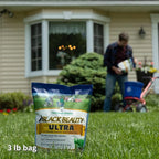 Jonathan Green (10321) Black Beauty Ultra Grass Seed - Cool Season Lawn Seed (3 lb)