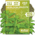 KVITER 250 Epazote Seeds (Chenopodium Ambrosoides) - Semilla de Epazote Mexicano Heirloom Seeds, Apazote Planta Seed for Planting - High Germination Rate, Ideal for Herb Garden