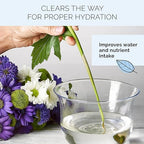 FloraLife Quick Dip - Instant Hydrating Treatment Solution for Preserving Fresh-Cut Flowers - 8oz
