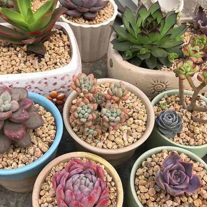 FANTIAN 10 lbs Maifanitum Stones for Succulent,1/4 Inch Decorative Rocks for Indoor Plants, Bonsai, Soil Cover. Small Stones for Water Drainage and Plant Growth