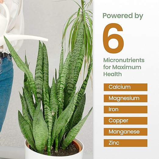 16oz Snake Plant Fertilizer for Snake Plant Live - Makes 96 Gallons of Fertilizer for Indoor Plants, Ideal for Healthy Growth, Strong Leaves, and Vibrant Color - Rich in Macro & Micronutrients