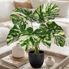 Briful Fake Plants Variegated Monstera Leaves Faux Plant Indoor in Black Pot Artificial Potted Plant Houseplant for Home Decor Patio Farmhouse Kitchen Bathroom