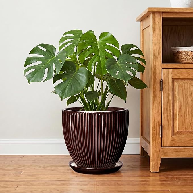 Ceramic Pots for Plants 10 Inch, Indoor Planter with Drainage Hole and Saucer, Large Round Decorative Ceramic Plant Pots, Modern Flower Planter, Patio Room Decor, Gifts for Plant Lovers, Brown