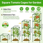 Legigo 2 Pack Square Tomato Cages- 60 Inch Heavy Duty Tomato Trellis for Climbing Plants Outdoor, Tomato Plant Support Stakes Cage Garden Trellis for Garden Raised Garden Bed Cucumbers Vegetables
