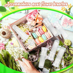 33 Pcs 60 ml Large Floral Water Tubes with 3 Rack Holder Set Transparent Single Flower Stem Water Tubes for Milkweed Cuttings Flower Arrangements