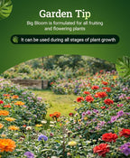 Fox Farm Big Bloom Liquid Plant Food - Organic Bloom Fertilizer for Flowering & Fruiting Plants, Contains Earthworm Castings & Bat Guano - Supports All Stages of Plant Growth - 0-0.5-0.7 NPK,2.5Gallon
