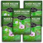 Marshmallow Seeds for Planting - Marsh Mallow Medicinal Herb, Althaea Officinalis, Traditional Root Plant for Herb Garden - Heirloom Non-GMO Open Pollinated - Survival Garden Seeds (5 Pack