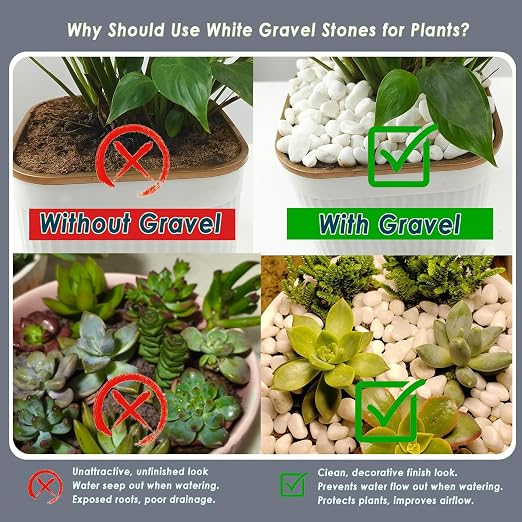 5 LB Natural White Gravel for Plants, Succulents & Cactus, Aquarium, Fish Tank, 0.6 inch Small White Pebbles for Vases, Rocks for Landscaping, Indoor Potted Plants, Garden and Home Decorative Stones
