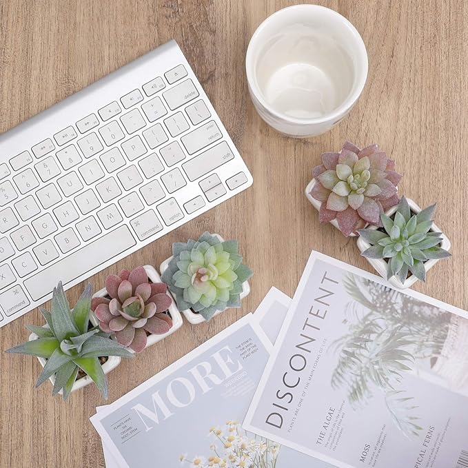 FUNARTY 5pcs Artificial Succulent Plants, Small Fake Desk Plants Mini Succulents Indoor for Shelf Living Room Bedroom Windowsills Office Home Decoration (Include White Ceramic Pots)