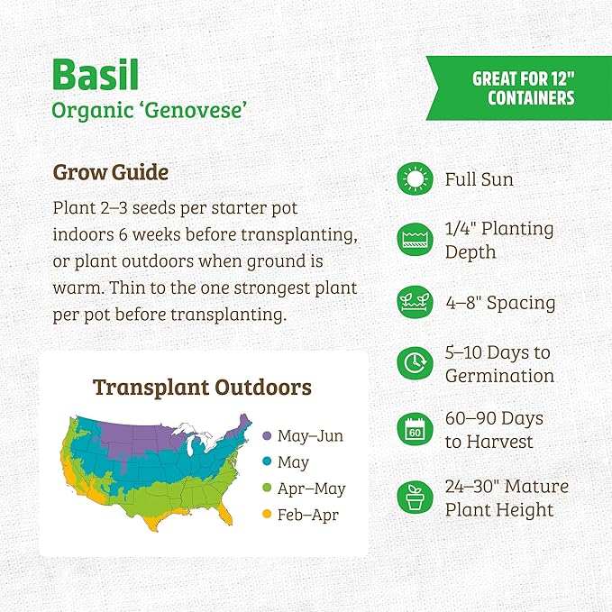 Back to The Roots 100% Organic Heirloom Seeds - Sweet Basil Value Pack (600mg Total)