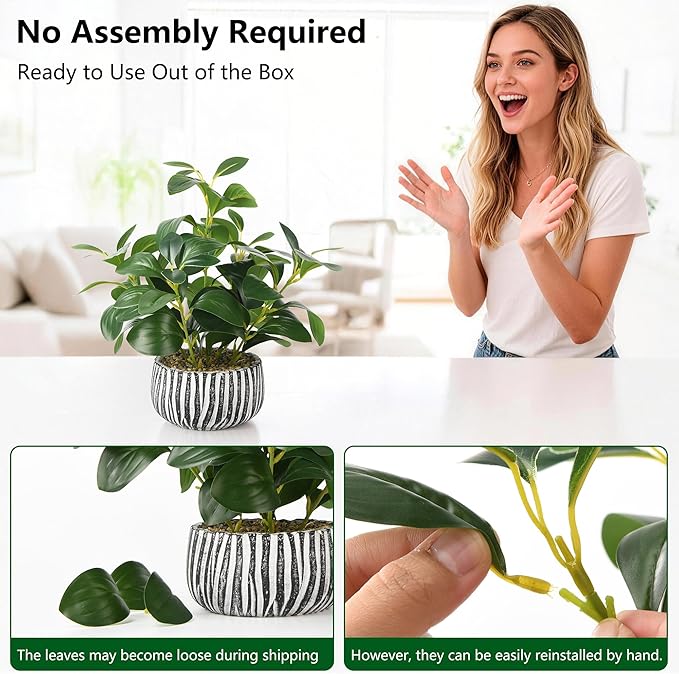 florisso Artificial Succulents with Fig Leaf Greenery in Rustic Clay Planter, Fake Succulents Potted Decor for Farmhouse, Bathroom, Bedroom, Kitchen, Office Desk and Coffee Table (Black White)