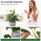 florisso Artificial Succulents with Fig Leaf Greenery in Rustic Clay Planter, Fake Succulents Potted Decor for Farmhouse, Bathroom, Bedroom, Kitchen, Office Desk and Coffee Table (Black White)