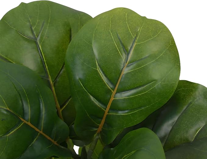 Alupssuc 1.5FT Artificial Fiddle Leaf Fig Tree with White Planter Pot, 1.5 feet Tall Fake Tree for Home Decor, Faux Ficus Tree Fake Moss for Indoor Outdoor Office Living Room