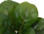 Alupssuc 1.5FT Artificial Fiddle Leaf Fig Tree with White Planter Pot, 1.5 feet Tall Fake Tree for Home Decor, Faux Ficus Tree Fake Moss for Indoor Outdoor Office Living Room