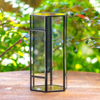 NCYP Small Glass Terrarium with Mesh and Door for Spiders, Hexagon Shape Small Mantis Vented Glass Terrarium 4.9'' x 4.3'' x 9.4'', Tabletop Decor, Black (Plants Not Include)