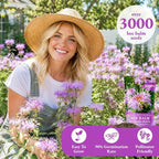 3000+ Bee Balm Seeds for Planting - Wild Bergamot, Bee Balm Perennial Open Pollinated, Monarda fistulosa Wildflower Seeds for Outdoor Garden Borders & Native Beds