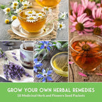 Medicinal Herb Seeds for Planting | 18 Seed Variety Pack of Heirloom, Non-GMO Herbs – Herbal Teas, Tinctures & Home Apothecary Garden Kit – Survival Garden Seeds