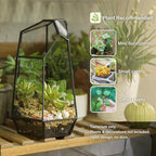 NCYP Small No Door Glass Geometric Terrarium - 4.9 x 3.9 x 7.4 Inches Irregular Clear Terrarium Pot for Mini Succulents, Small Cactus, Indoor Garden Tabletop Decoration (No Plants)