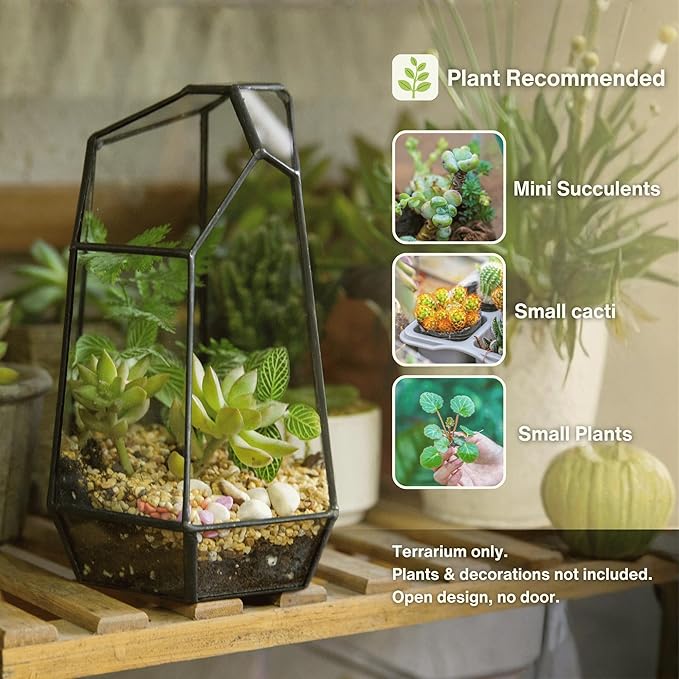 NCYP Small No Door Glass Geometric Terrarium - 4.9 x 3.9 x 7.4 Inches Irregular Clear Terrarium Pot for Mini Succulents, Small Cactus, Indoor Garden Tabletop Decoration (No Plants)
