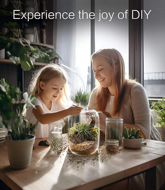 Terrarium Kit with Grow Light – 24-Piece DIY Glass Terrarium Set with Tools, Moss, Driftwood, Soil & Pebbles – Mini Gardening Kit for Air Plants, Succulents & Indoor Desk Decoration Gift