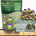 Outsidepride Johnny Jump Up Viola Wild Flower Seeds - 1/8 lb Easy-to-Grow, Compact & Hardy Perennial Seeds for Planting Outdoors, Ideal for Pollinators, Garden Beds, Containers, & Hanging Baskets