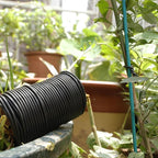 TELENT OUTDOORS 101 Feet Black Plant Twist Ties, Soft Plant ties for Vine Support, 3mm TPR Flexible Garden Tie for Plants Gardening Office Home Use