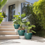Ceramic Pots for Plants, 10+8+6 Inch Ceramic Plant Pot for Indoor Outdoor Plants, Round Indoor Flower Pots with Drainage Holes and Saucers, Garden Decor, Gift for Women, Set of 3, Dark Green