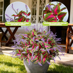 12 Bundles Artificial Coleus Flowers | UV Resistant No Fade Silk Faux Plants | Spring Summer Outdoor Fake Greenery for Garden Patio Planters Front Porch Pathway Decor (Pink)