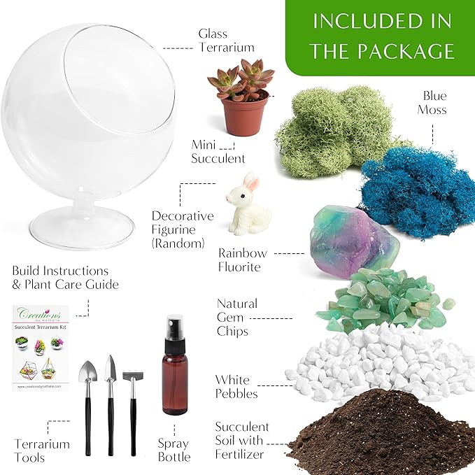 Creations by Nathalie DIY 6" DIY Chalice Terrarium Kit - Build Your Own Glass Terrarium for Adults & Teens with Moss, Crystals, Tools & Decor - Handcrafted in the USA (Live Plant Included)