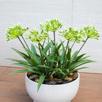 Faux Outdoor Flowers Realistic Artificial Plants 8 Bundles Plastic Flower Outside 18.9 in Fake Greenery Stems Green Flower for Pot Planter Decor Outside