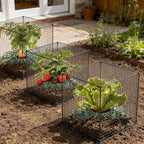 6 Set Upgraded Strawberry Protection Supports with Wire Plant Protectors from Animal Sturdy Metal Wire Plant Cages Mesh Plant Cover Strawberry Growing Racks Planting Stand for Garden,12 Inch Square
