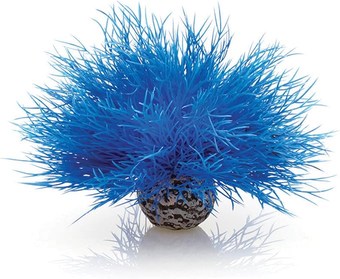Sea Lily Blue