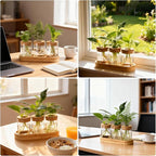 3Pcs Propagation Stations, Plant Terrarium with Lid and Wooden Stand,Desktop Glass Planter Hydroponics Vase,Home Office Living Room Decor Gifts