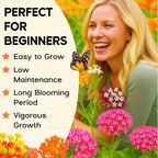 720+Mix Milkweed Seeds for Monarch Butterflies - 6 Individual Varieties Perennial Wildflower Colorful Pollinator Garden (Each pack120+ Seeds)., Easy to Grow for Backyard & More (Mix Milkweed Seeds)