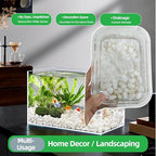 5 LB Natural White Gravel for Plants, Succulents & Cactus, Aquarium, Fish Tank, 0.6 inch Small White Pebbles for Vases, Rocks for Landscaping, Indoor Potted Plants, Garden and Home Decorative Stones