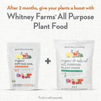 Whitney Farms Organic Potting Soil - Natural Indoor and Outdoor Container Mix, Organic Potting Soil for Vegetables, Herbs and Flowers, Feeds Plants up to 2 Months, 8 qt.