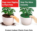 12 inch Plant Pot Cover | Soil Cover for Plants (One Piece Design) | 6 Pack | Dark Green | No Stakes or Assembly Needed | Perfect for Covering Plants from Animals | Made in USA