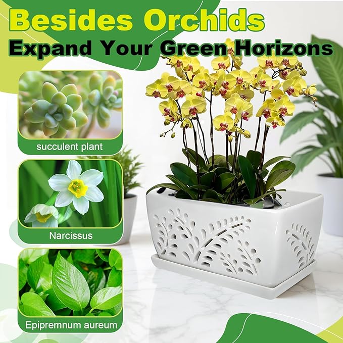 Ceramic Orchid Pot, 10 Inch Orchid Pots with Holes, Premium Thickened Handmade Glazed Pot for Orchidaceae Plants, Indoor Outdoor Decorative Flower Pots for Easy Repotting