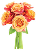 KaBloom - Bouquet of 6 Fresh Cut Orange Roses (Farm-Fresh, Long-Stem) - Fresh Flowers for Birthday, Valentine's & Mother's Day