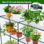 Ohuhu Greenhouse for Outdoors: 3 Tiers 12 Shelves Walk-in Indoor Green House Heavy Duty Plant Stands Reinforced Plastic PE Cover Mini Portable Warm House for Outside, 4.8x2.5x6.4 FT